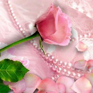 Meet your Posher, AdrienneNicole